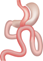 http://www.bariatricnews.net/sites/default/files/styles/inline-body/public/MGB%20Figure.png